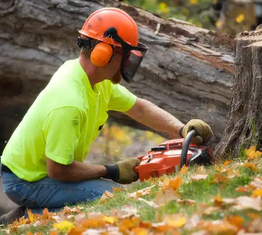 tree services Bailey